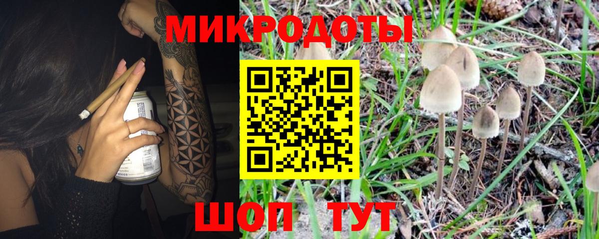 Псилоцибиновые грибы мухоморы Малоярославец