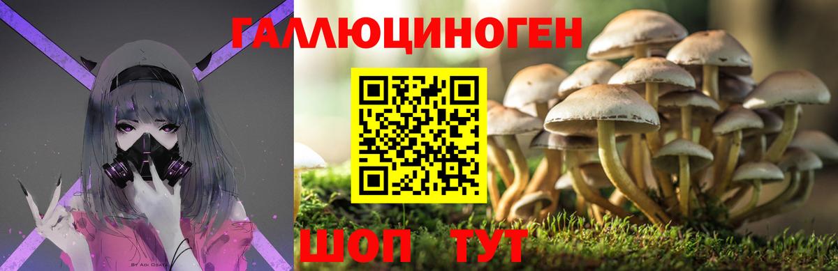 Малоярославец  Галлюциногенные грибы MAGIC MUSHROOMS  Вход с VPN 